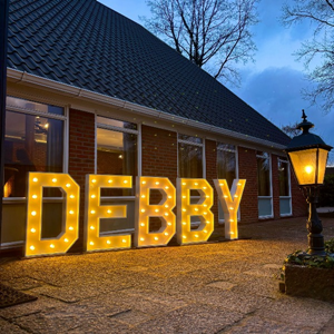 Lichtletters (prijs op aanvraag)